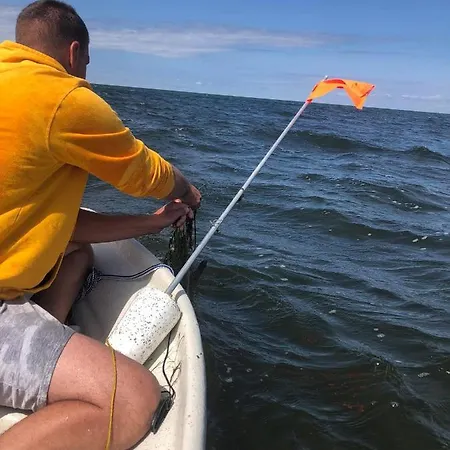 Elamusmajutus Intsu Vorgukuuris *