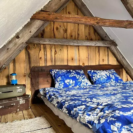 Elamusmajutus Intsu Vorgukuuris