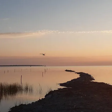 Elamusmajutus Intsu Vorgukuuris Kamp alanı