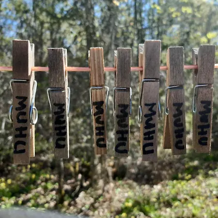 Kamp alanı Elamusmajutus Intsu Vorgukuuris *