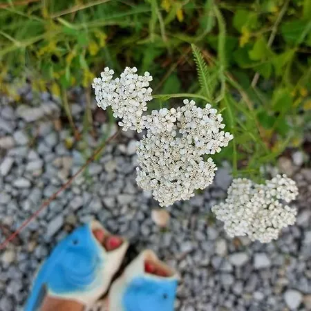 Campsite Elamusmajutus Intsu Vorgukuuris