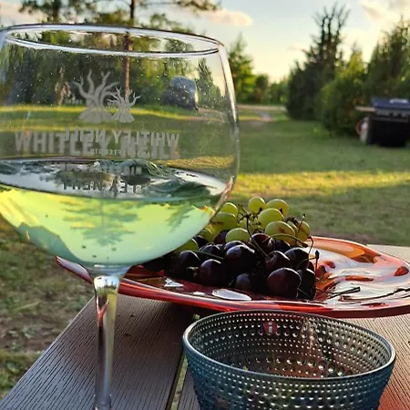 Kamp alanı Elamusmajutus Intsu Vorgukuuris Liiva (Saaremaa)