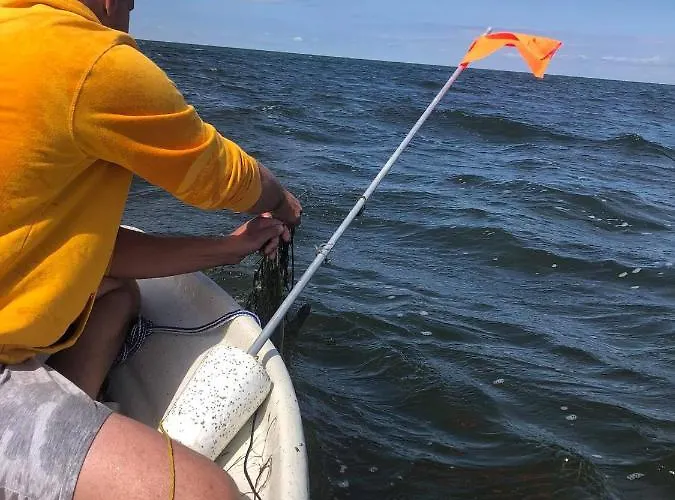 Elamusmajutus Intsu Vorgukuuris *